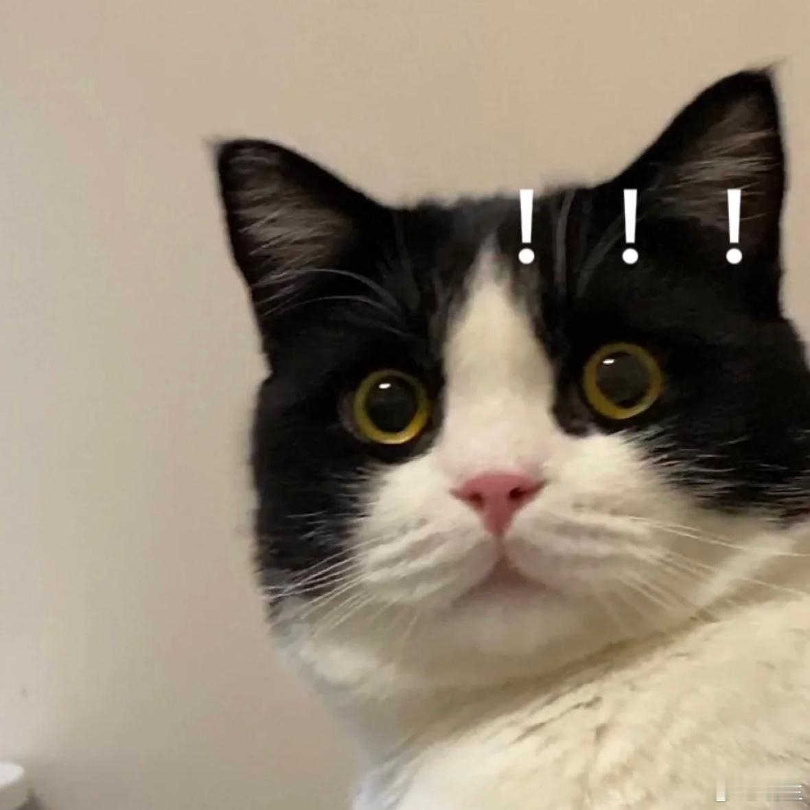 从现在的消费习惯看婚姻关系观察一下状态，现在大家愿意在什么地方花钱，其实是及时享