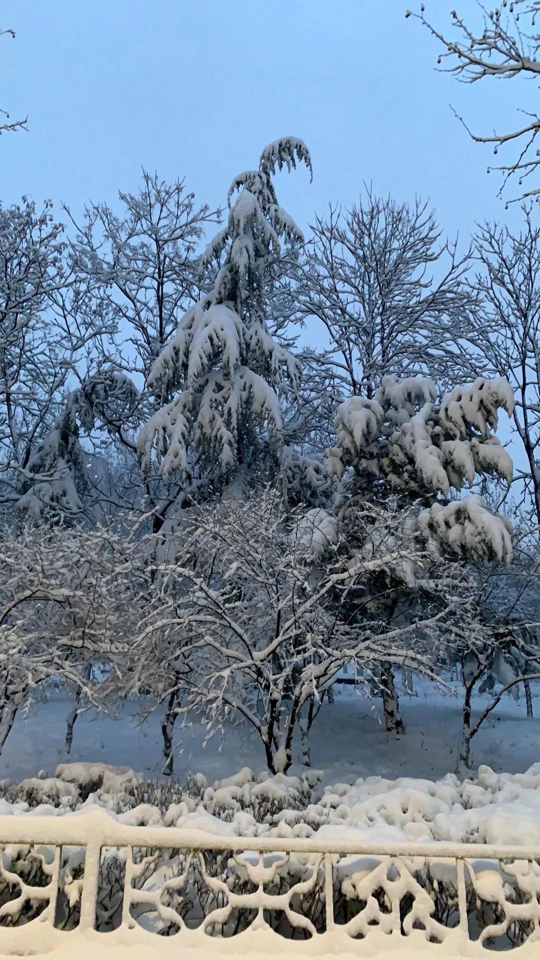 淄博的雨雪天气已经过去了，这场雨雪除了给大家带来一些交通的不便之外，更多的是给淄