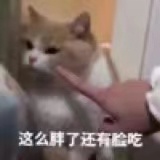玥热谈国际