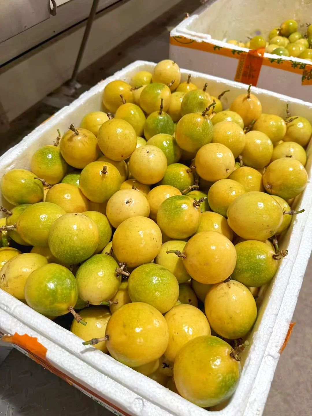 别在吃普通百香果啦，我们的蜜甜百香果熟了！