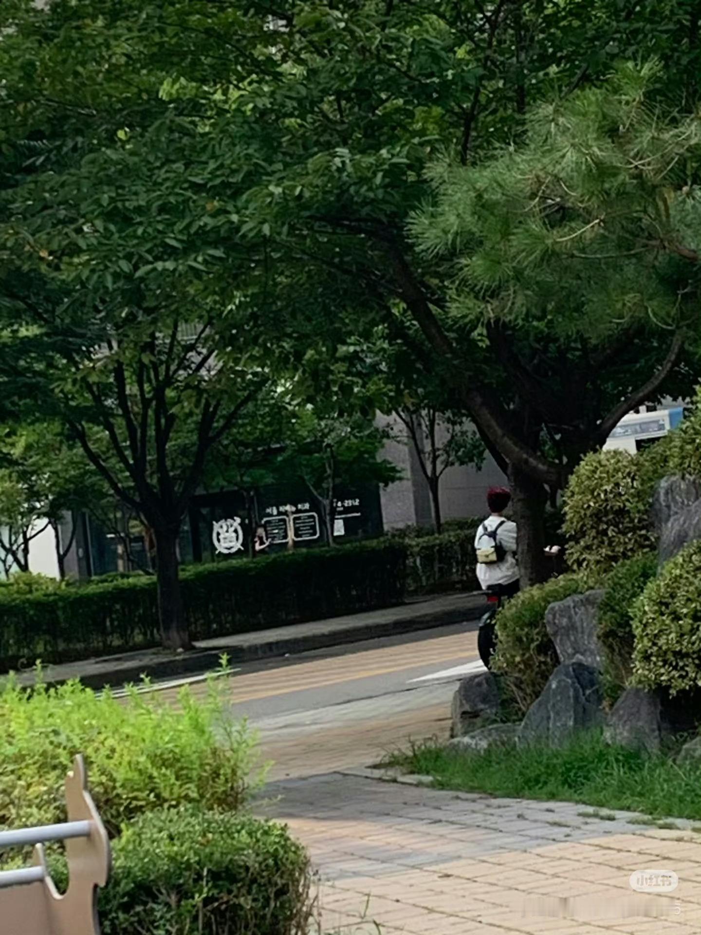 偶遇骑车出门的章昊 偶遇出门的章昊骑着小车车背着猫头鹰书包🦉这背影简直萌化了[