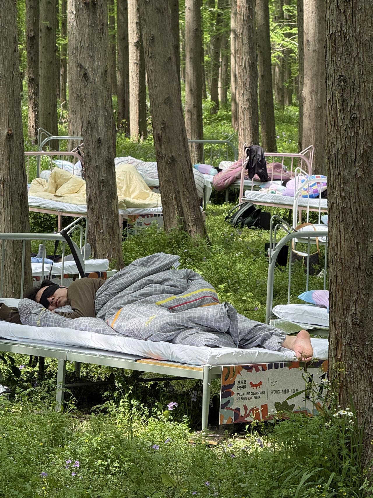 假如你参加这个崇明森林睡眠挑战赛，你觉得自己能拿第几名？