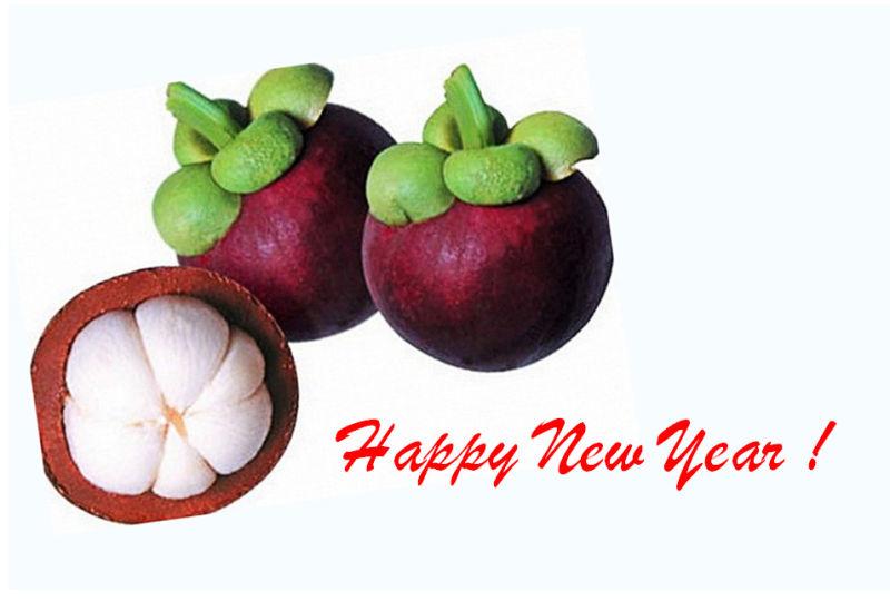 今日除夕，祝大家新春快乐！