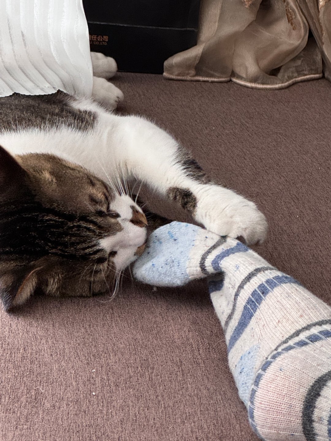 签到签到签到又要周一了，崩溃了家人们           