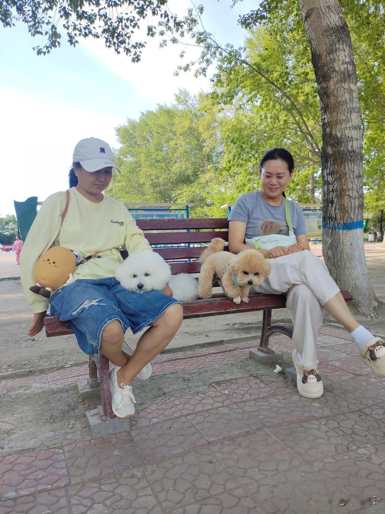 灵犬
宠溺爱犬眼含情，
温柔抚摸软绒绒。
岁月长河总相伴，
请续句……
（游山玩