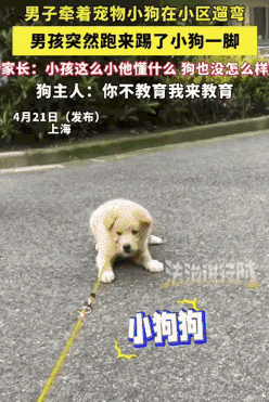 太气人！上海，男子牵着小狗在小区遛弯时，突然一男孩跑来踢小狗一脚。他问男孩: “