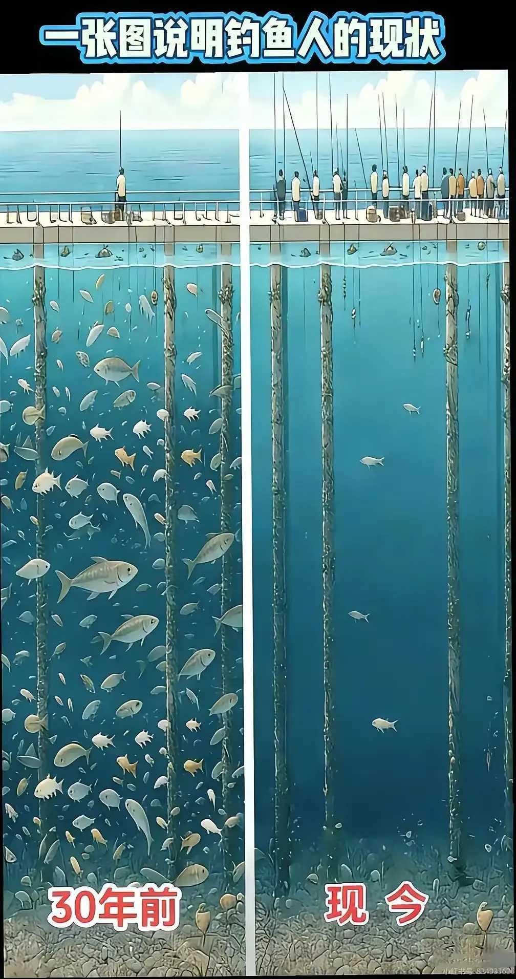 为什么要禁钓，这也许就是最好的答案。