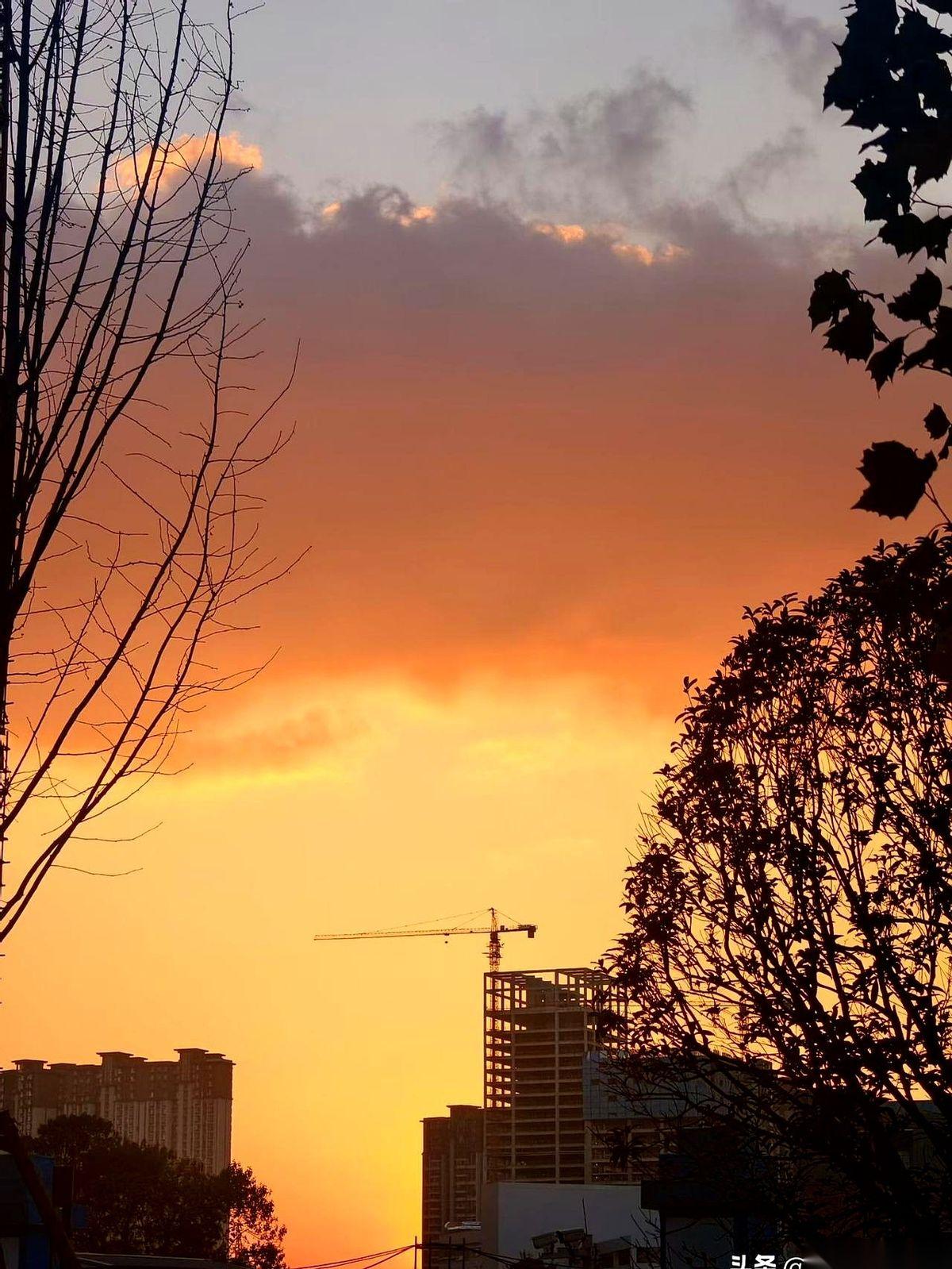 刷到这条新闻，我愣了三秒。
国际数学竞赛金牌，居然不是贵阳一中。是遵义四中的，高