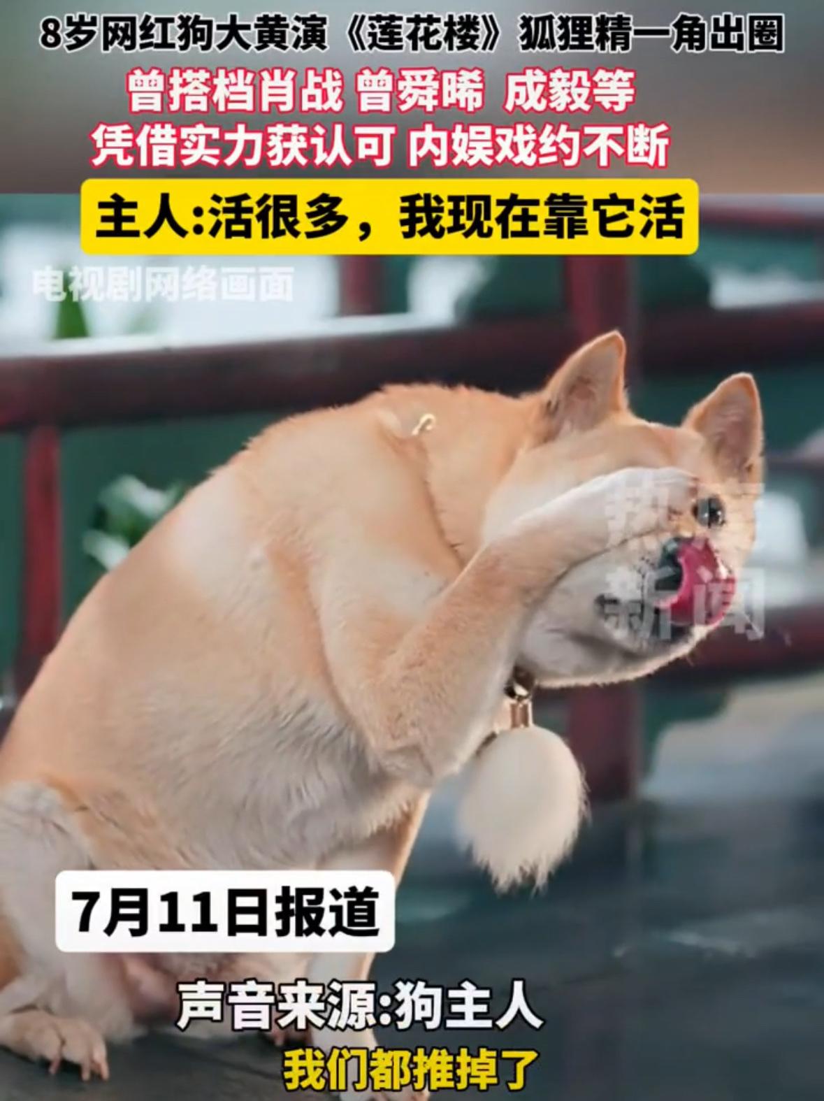 看过啃老的‼️没看过啃狗的‼️😂
《莲花楼》“狐狸精”的主人倒是很实诚🤣，说