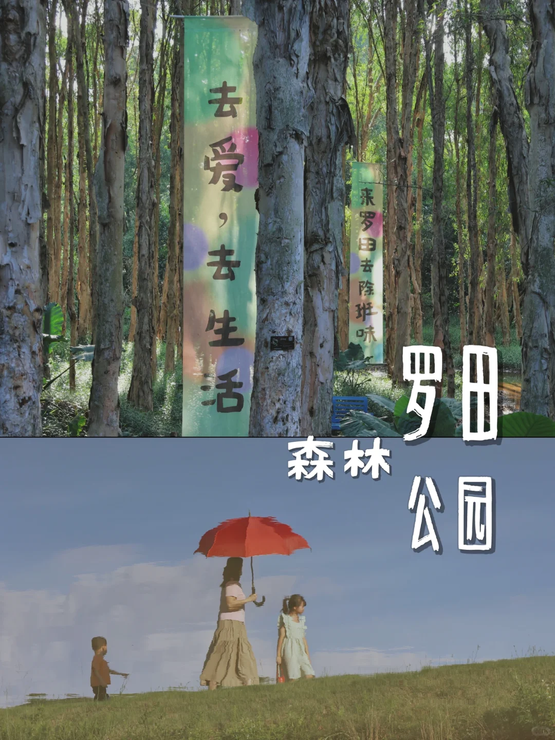 在深圳 有这么个小众地方 周末也不会人挤人