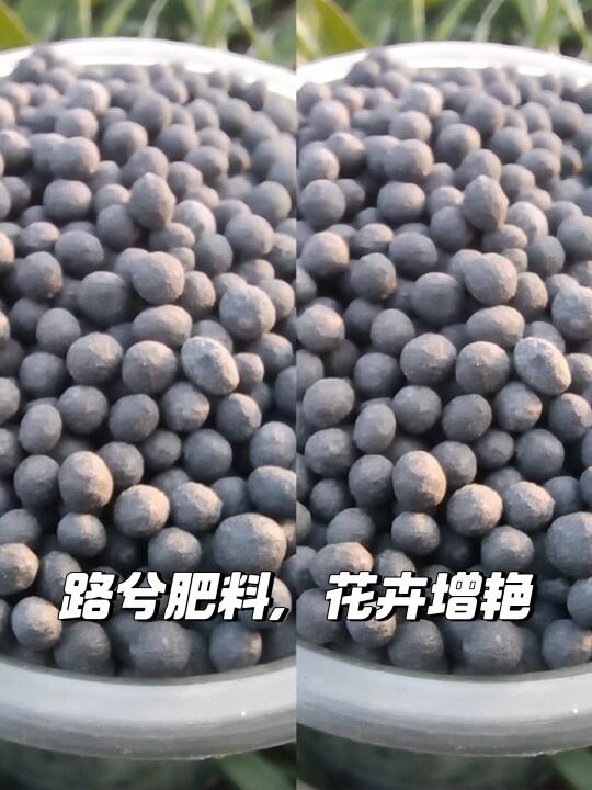 🌹养花神器：路兮复合肥🌿