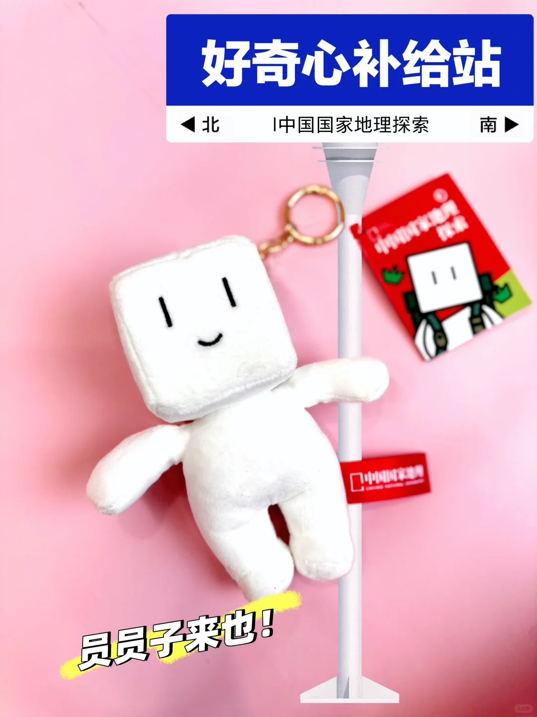 哈喽！探索家员员子来报道啦！