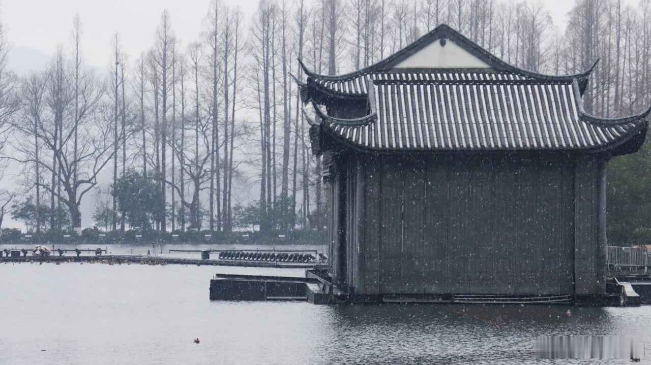 杭州下雪了 水墨画一样的西湖图源：杭州发布 