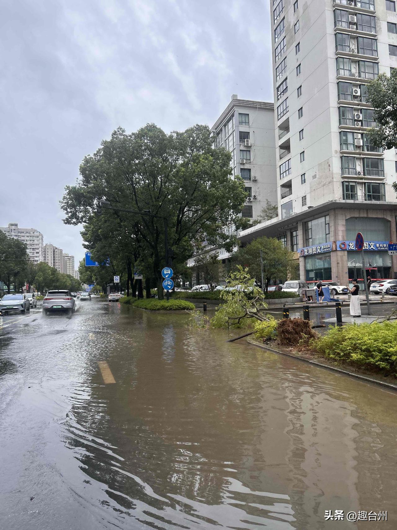台州市区哪些地方易积水经历过台风白海豚的多知道了，哪个路段会积水，哪个车库存在积