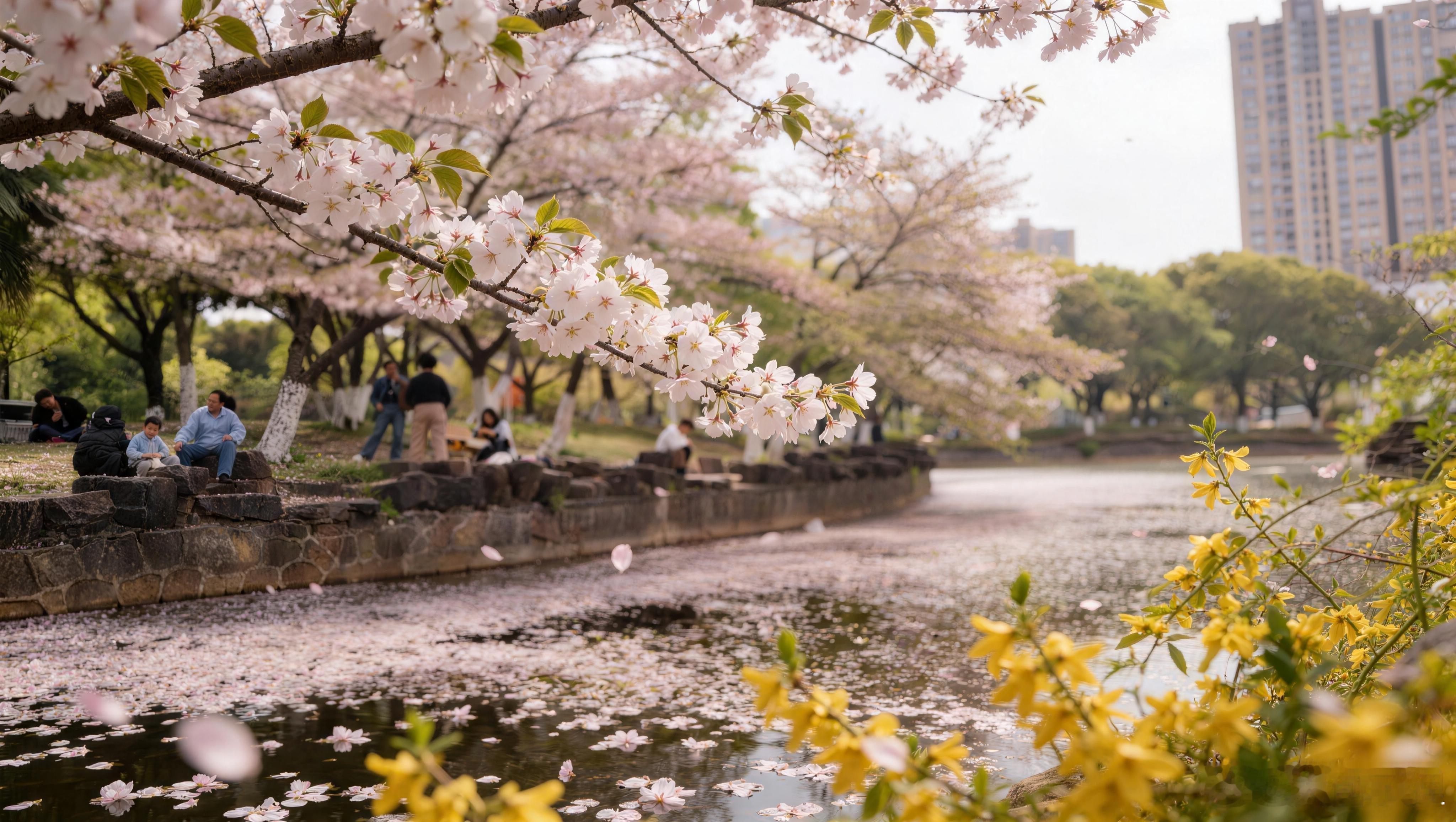 下午一些事儿其实挺操蛋的，挺好的产品，遇到离谱的人体验就断崖式的下降，我原来一直