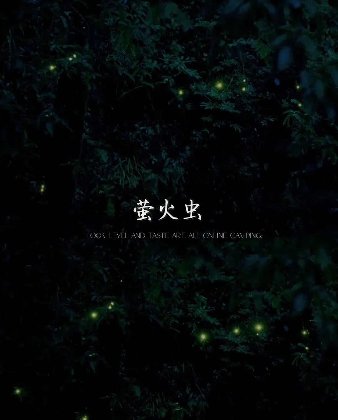 成都周边遛娃第3⃣️记｜南宝山避暑看萤火虫