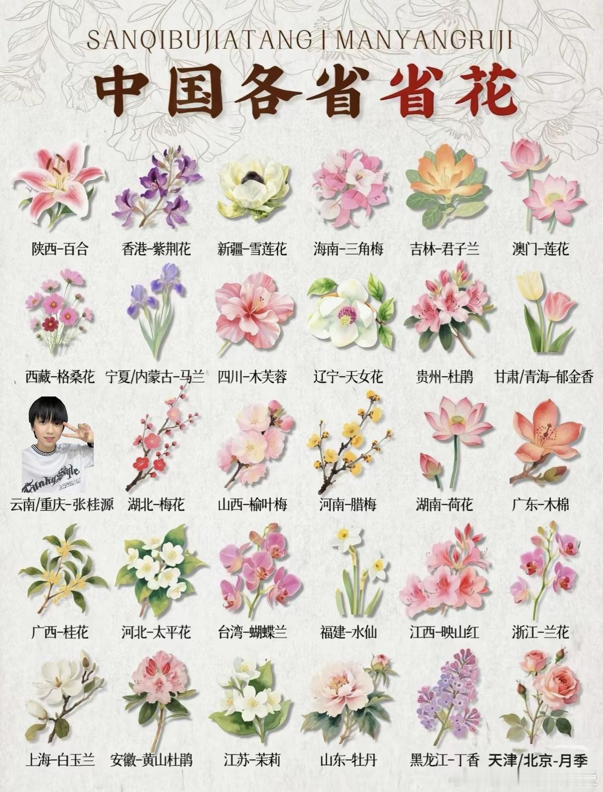 重庆之花已更新 