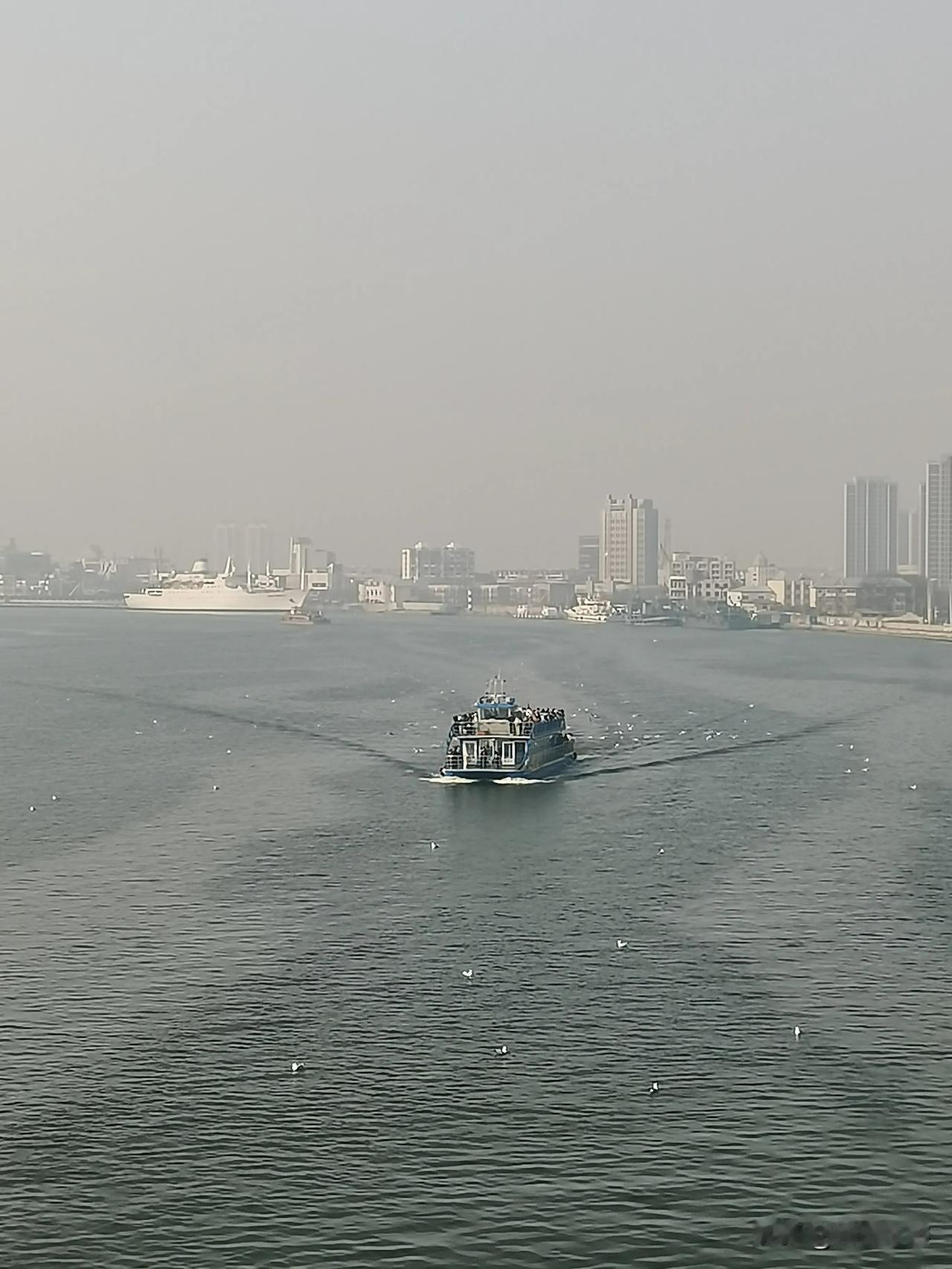 虽然今天天气不佳，但海河游船上游客还不少。
游船划开河面，海鸥翩翩起舞。

【括