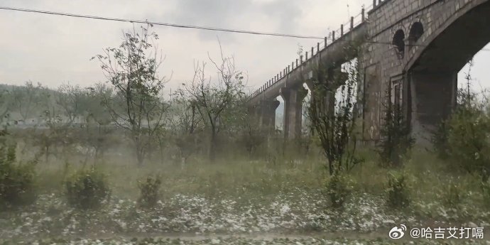 凤凰新闻【冰雹猛烈袭击邯郸涉县，街边大树被砸得光秃无叶！道路积满树叶与大量冰雹】