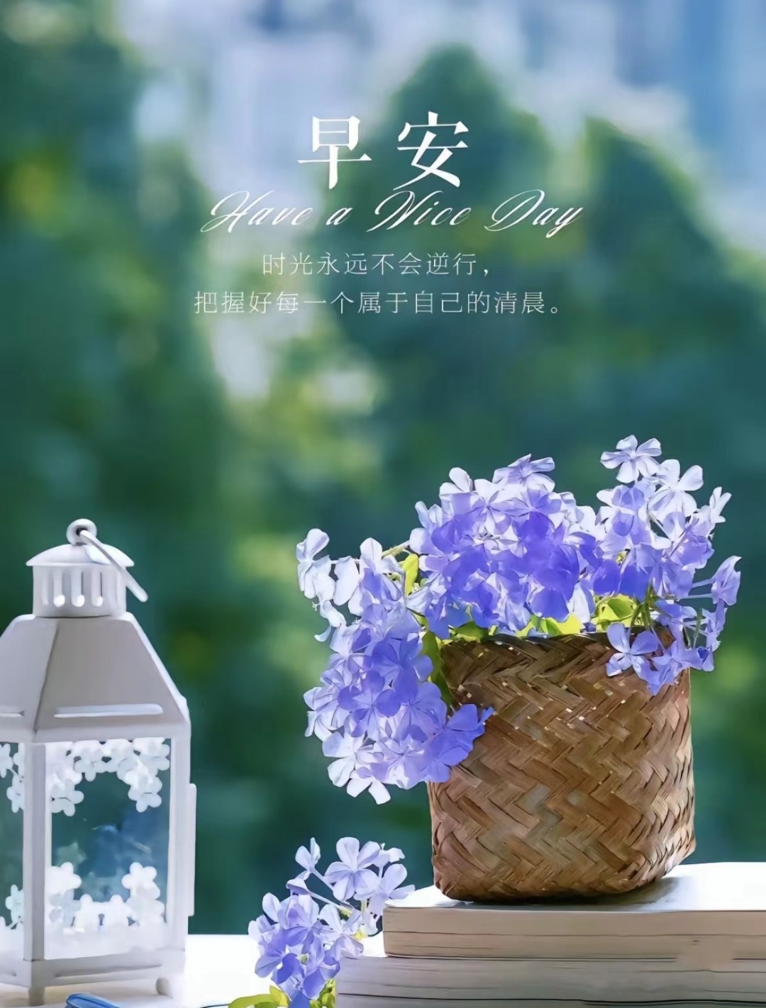 若心如朝阳，所见即朝霞，愿你在每个清晨醒来，阳光很暖，风很甜，万物可爱，人间值得