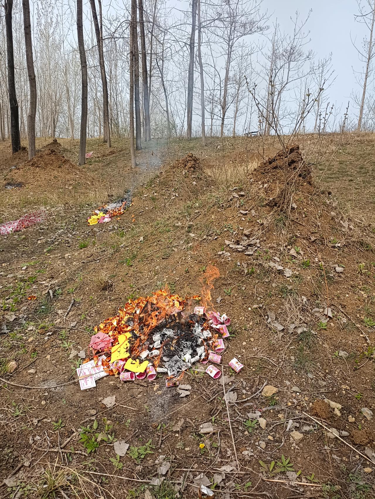 坟前春草，是中国人刻在骨血里的思念
 
小时候总不懂，上坟不过是一场走形式的仪式