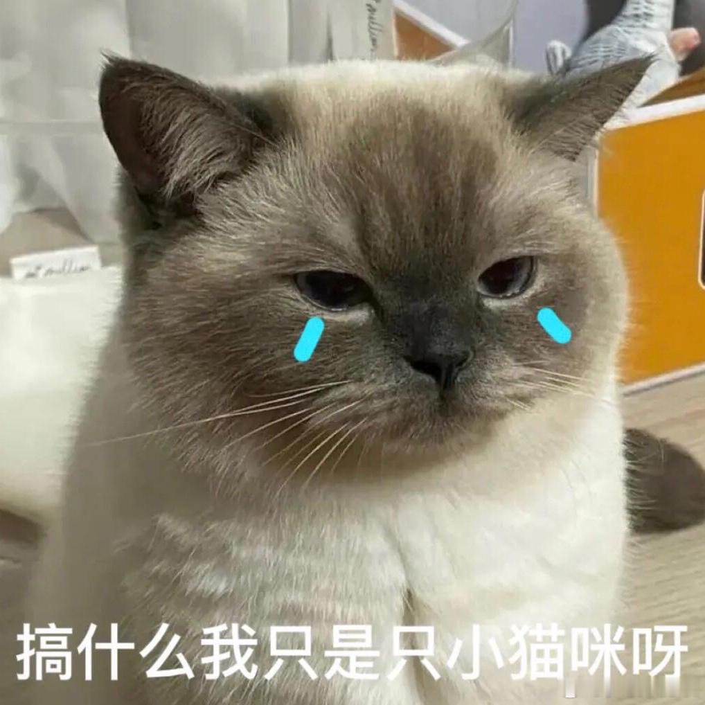 大吉胡咧咧 挟恩不图报55段守甘的目光本来还停在脸色卡白的枣康身上，结果一下子被