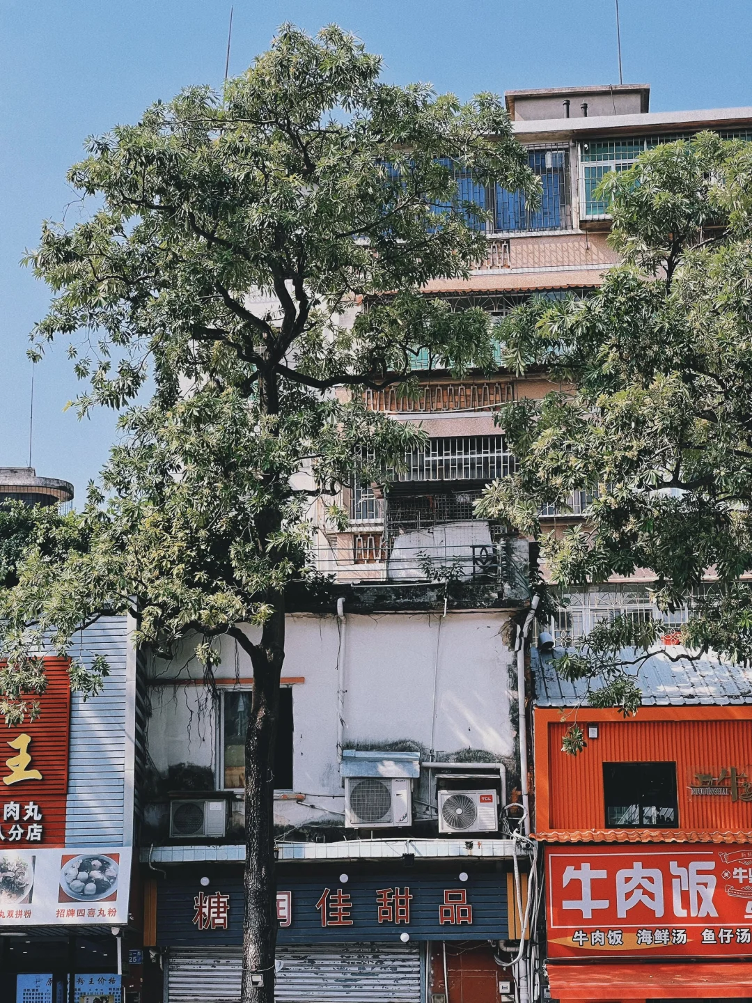 刚从湛江回来，我后悔了……