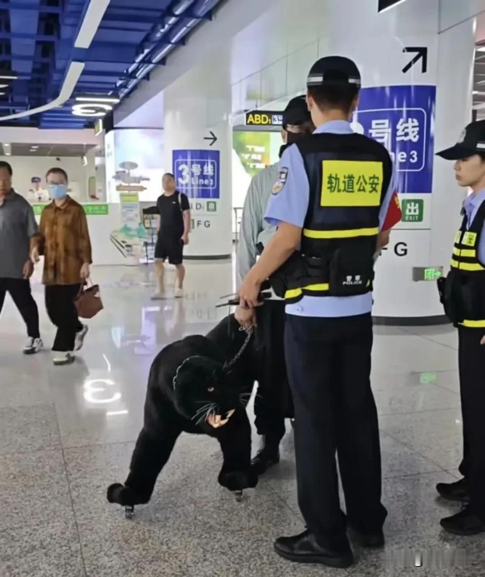 我真服了，现在的人为了标新立异到底能有多离谱？济南地铁站，一大哥拖着只"黑豹"进