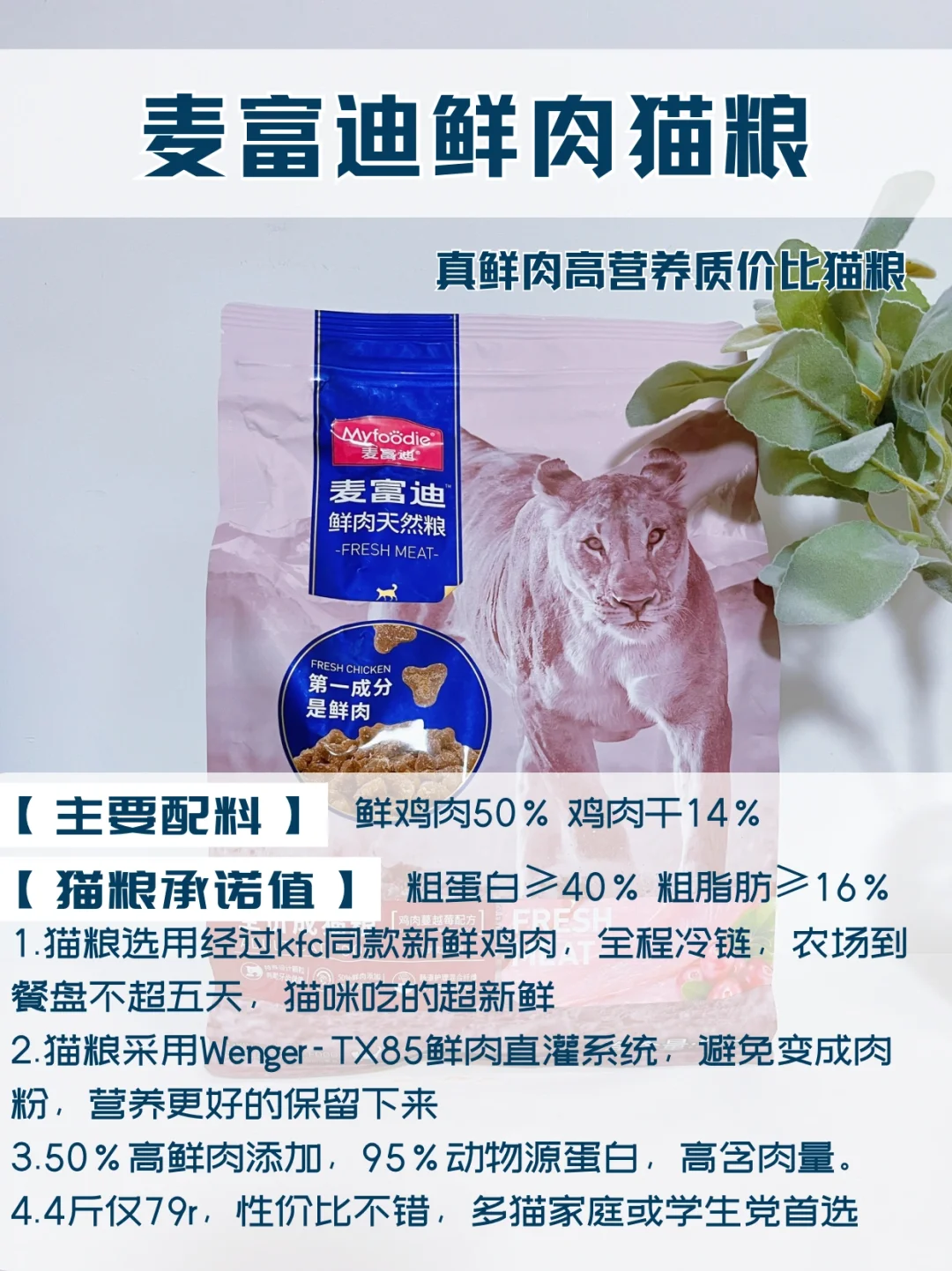 3款爆款猫粮实测｜长肉还是选鲜肉粮