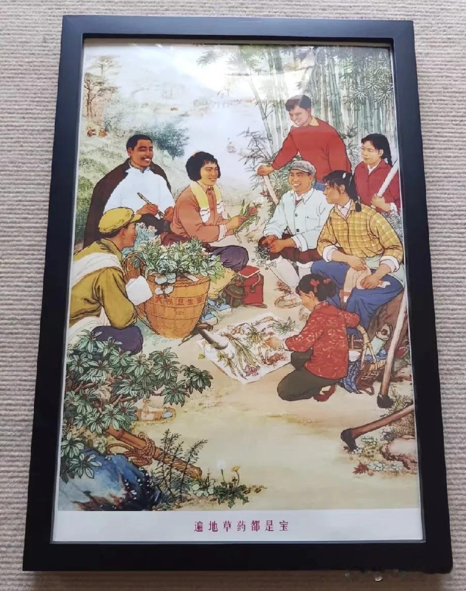 革命时代中医师眼里-边地草药都是宝
老中医的故事 就医史 药食同源。 草本老方2