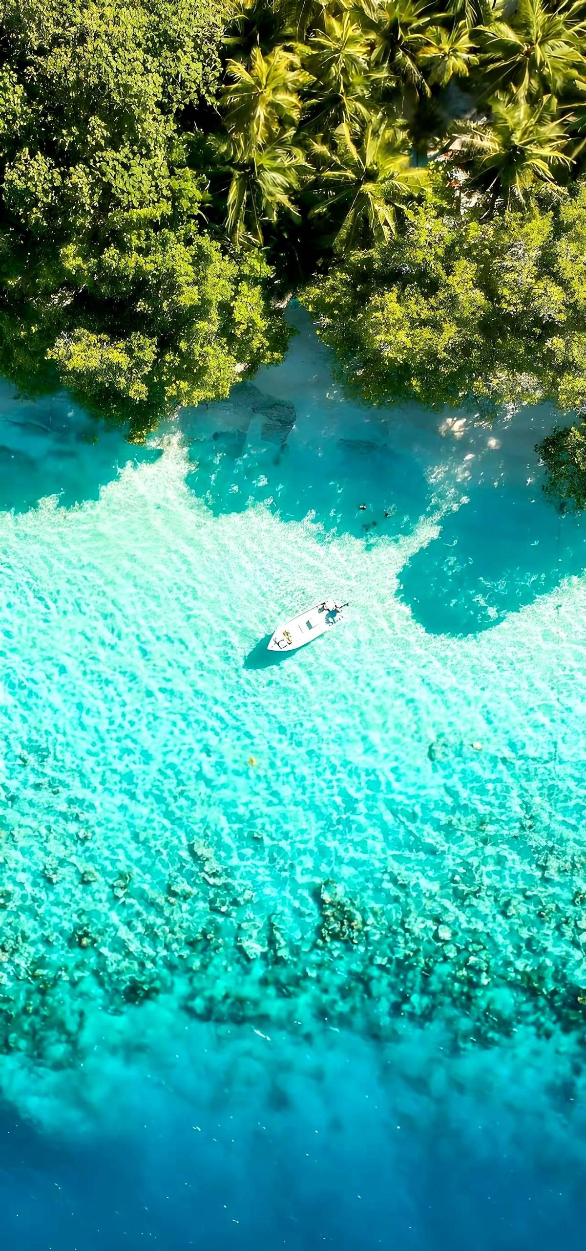 翻开任何一本历史书，你会发现一个铁律：所有的财富积累、资源分配，本质上都是掠夺的