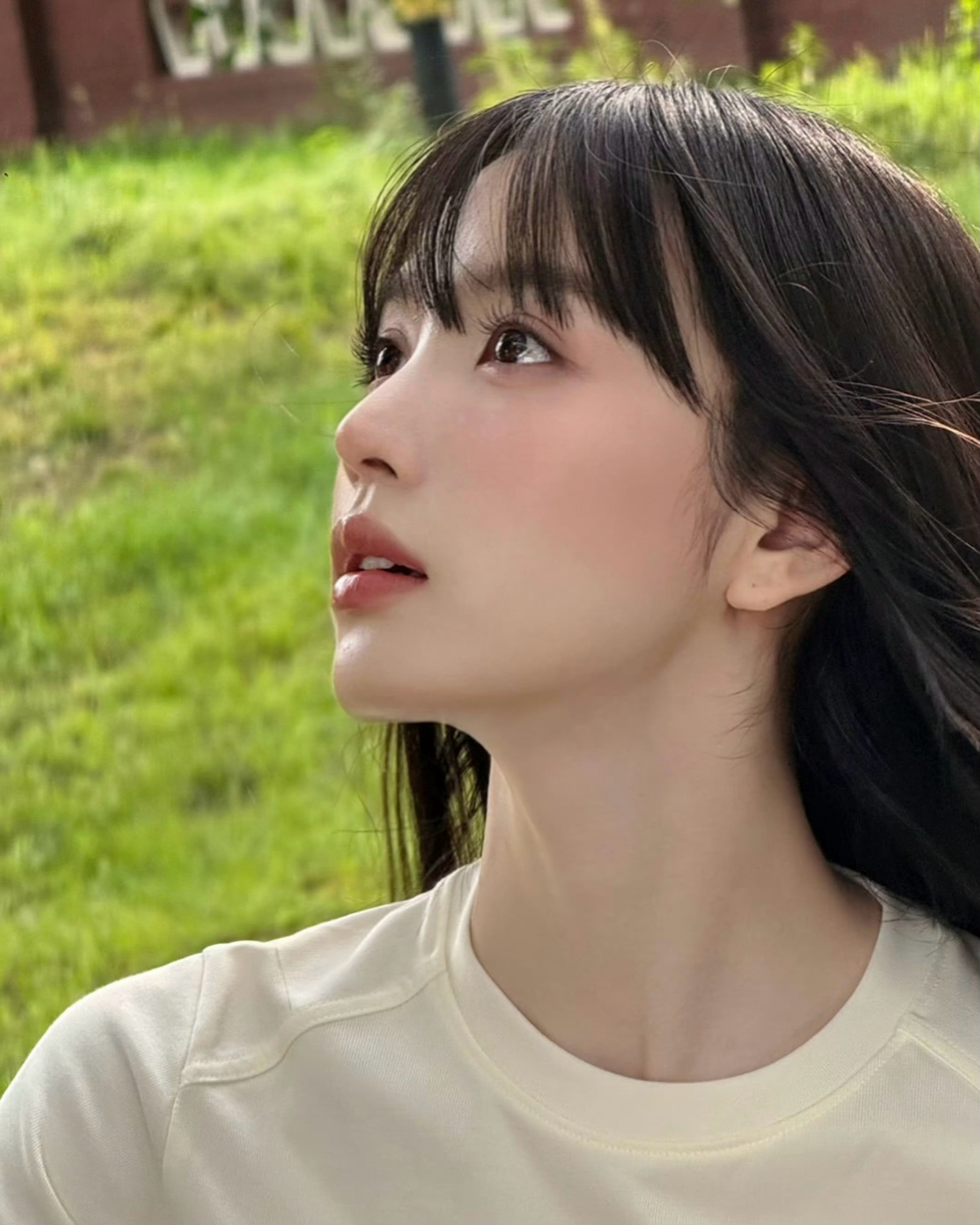 看懂的都看哭了 