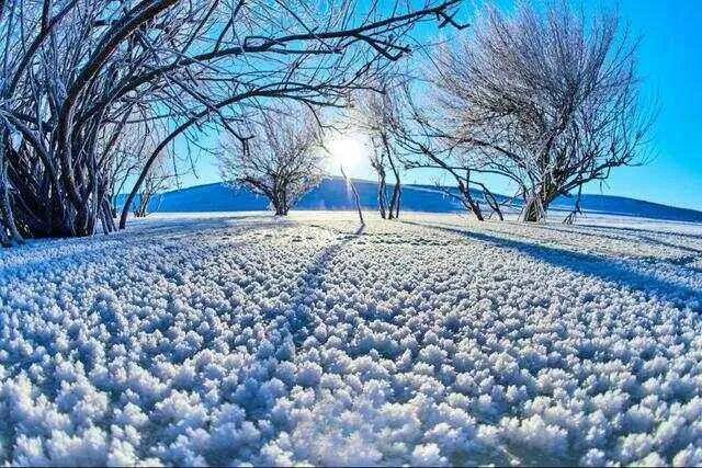 飞雪思故乡

纷纷扬扬空中舞
朦朦胧胧眼模糊
白白茫茫地上铺
冷冷清清念乡土