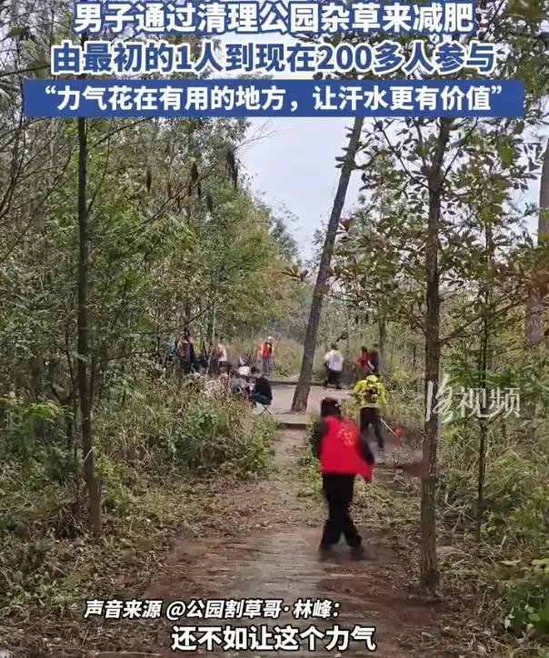 这名男子火了！贵州黔西南，一男子跑步减肥时发现公园里面杂草丛生，想着反正都要减肥