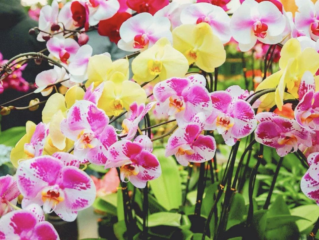 【人的一生，有两次成长。一次是发现世界并不围着你转，另一次是发现无论世界怎么转，