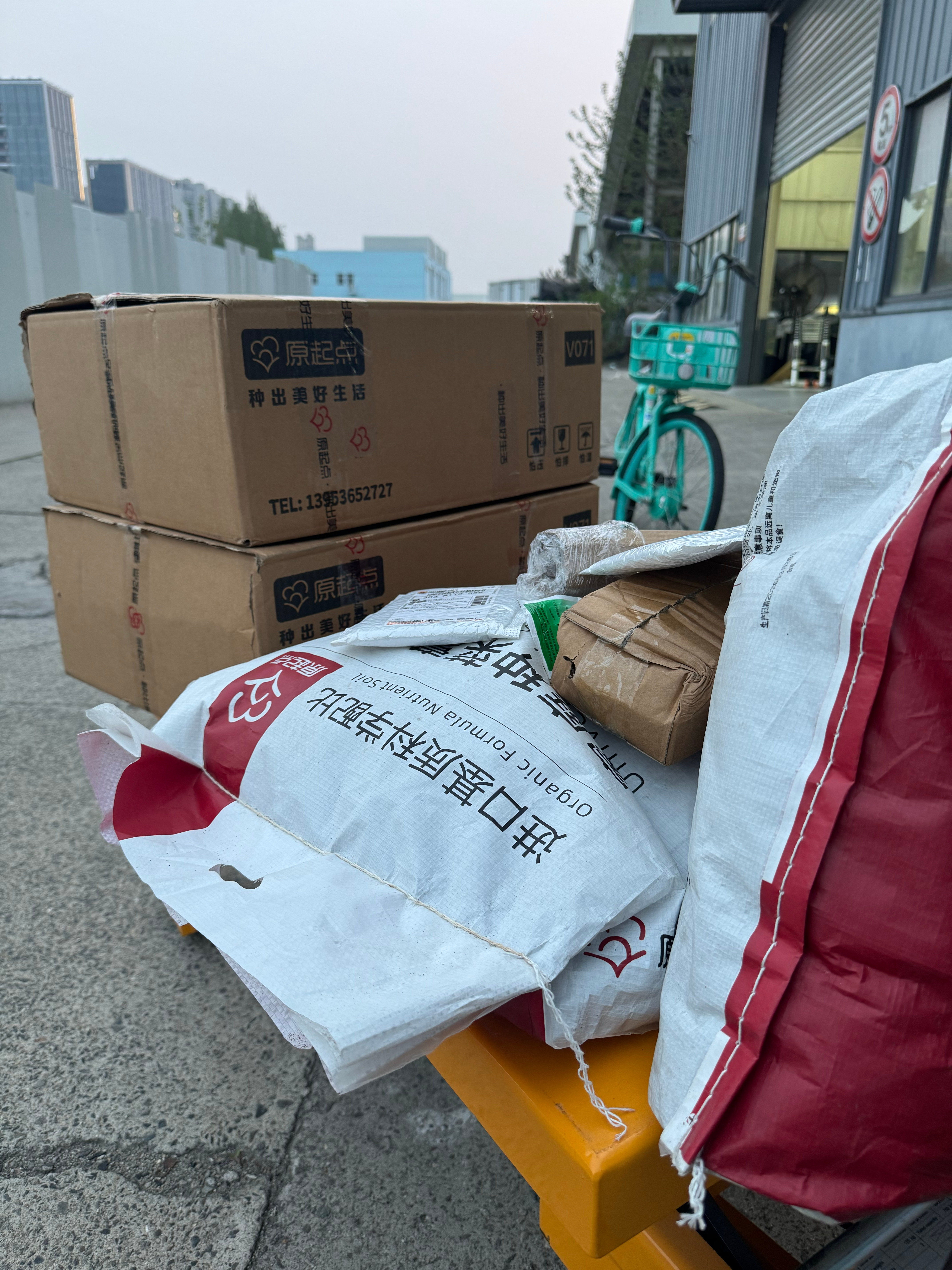 种菜基因已经觉醒！开始在影棚外面种蔬菜看看能活几颗ecc的菜