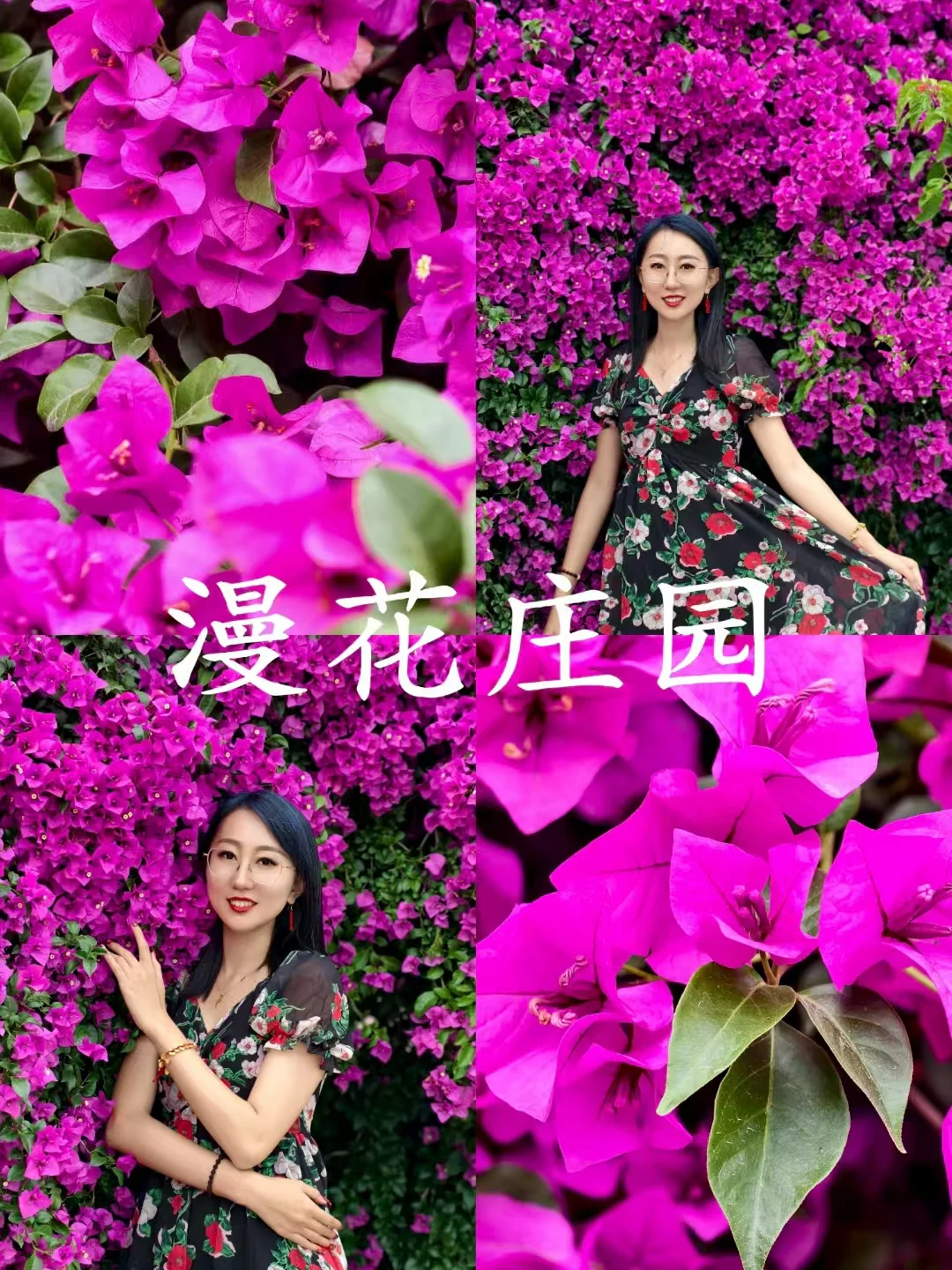 漫花庄园下💜紫色秘境三角梅瀑布
