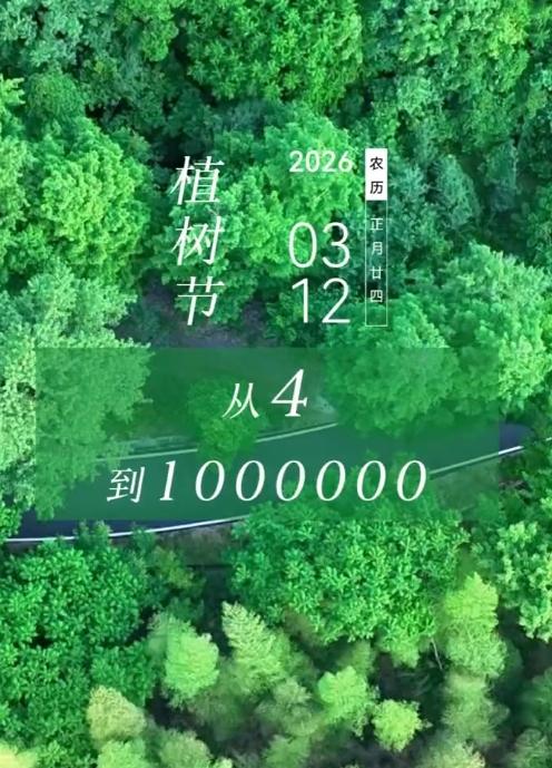 我的天！安徽这群人太神了！4棵树愣种成100万棵，荒山变绿海，值了！
 
说的是