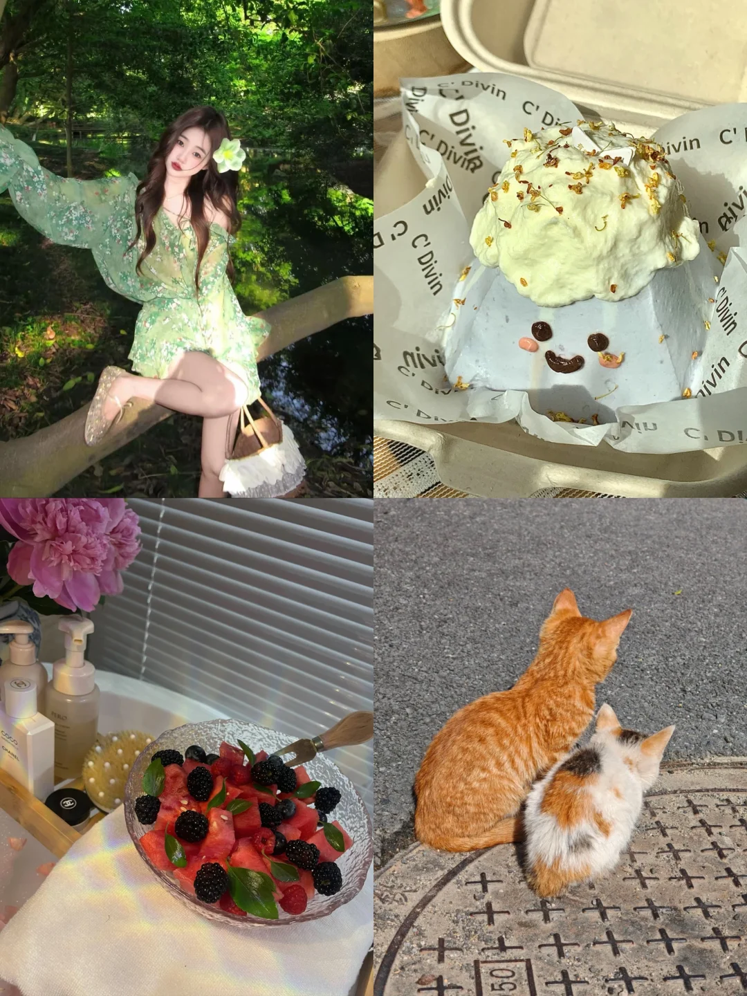 养猫plog｜小橘的幸福时刻嘻嘻🐾