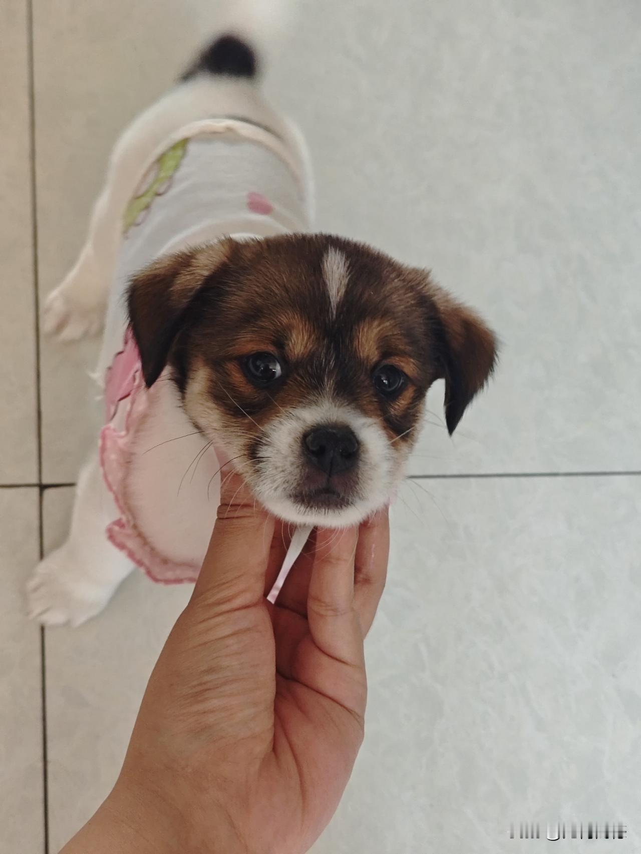 2026年，我最想对自己说的话是：你一定要乐观，乐观的看待一切，乐观的享受一切，