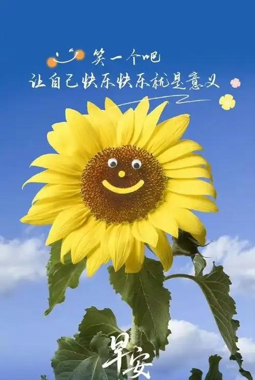 脑筋急转弯
一个包子和土豆打架，
结果土豆把包子打死了，
猜一食物。