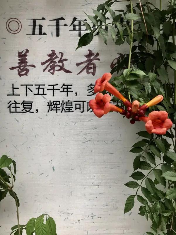 用一句诗表达你已不再年轻人过五十知天命。