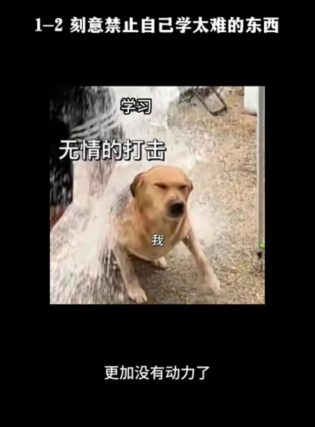 这几天我妈这边给我介绍的相亲男性从30出头到40出头，年龄跨越挺大的……
中间还