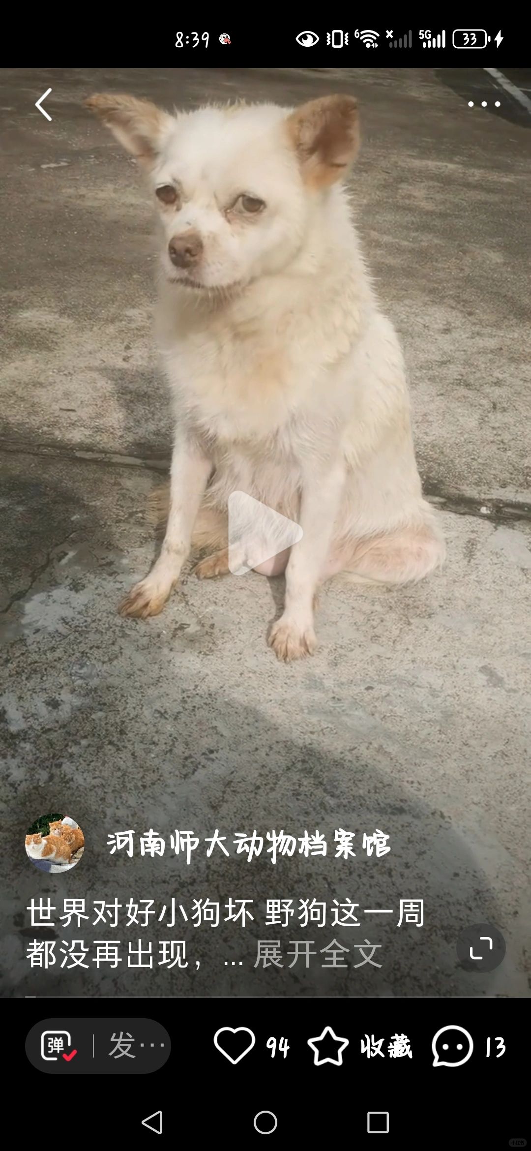 世界对好小狗好