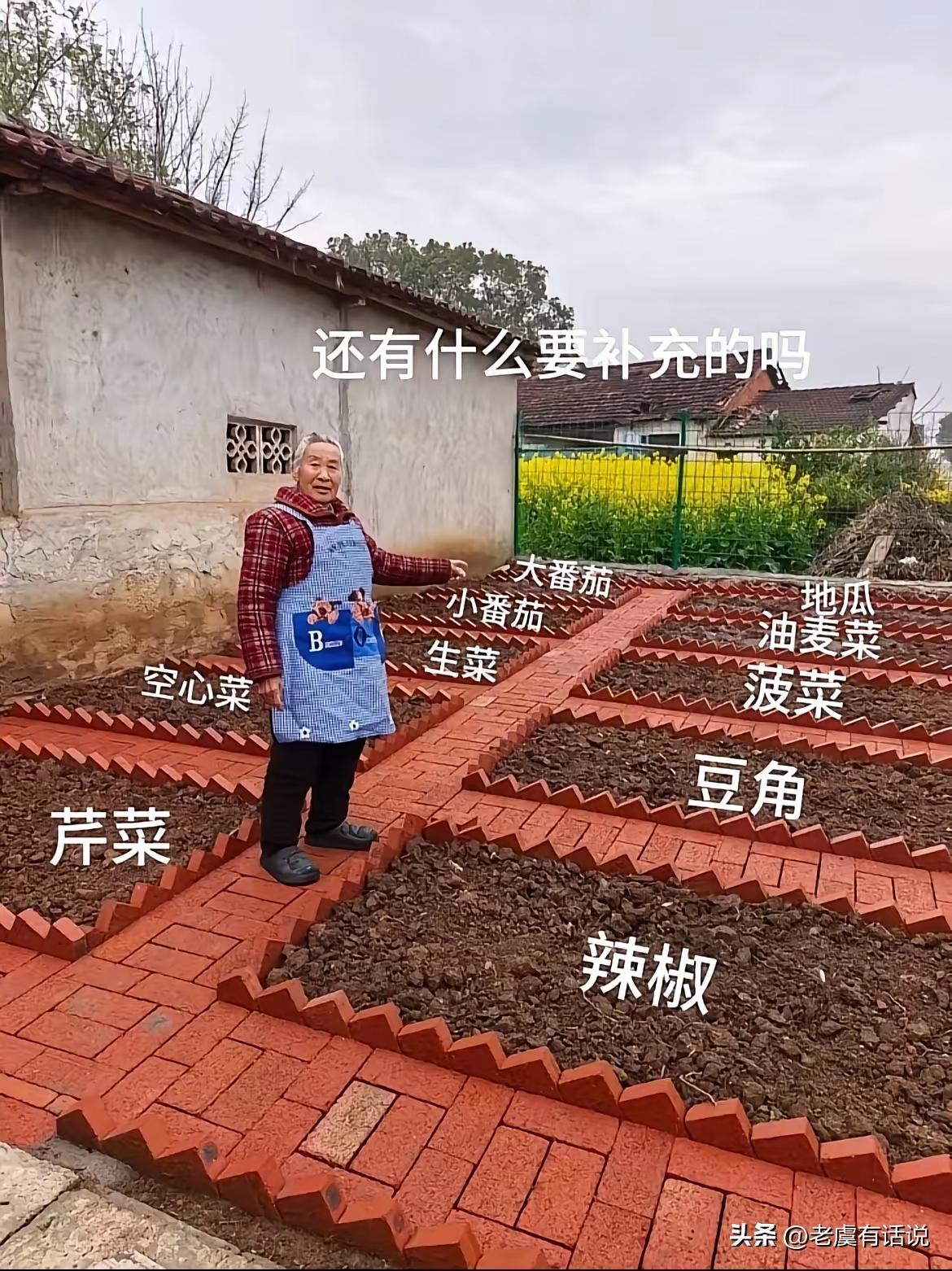 能一起种吗？
补充得多了，关键是你老人家罗列出来这么多蔬菜种类，规划的还如此井然