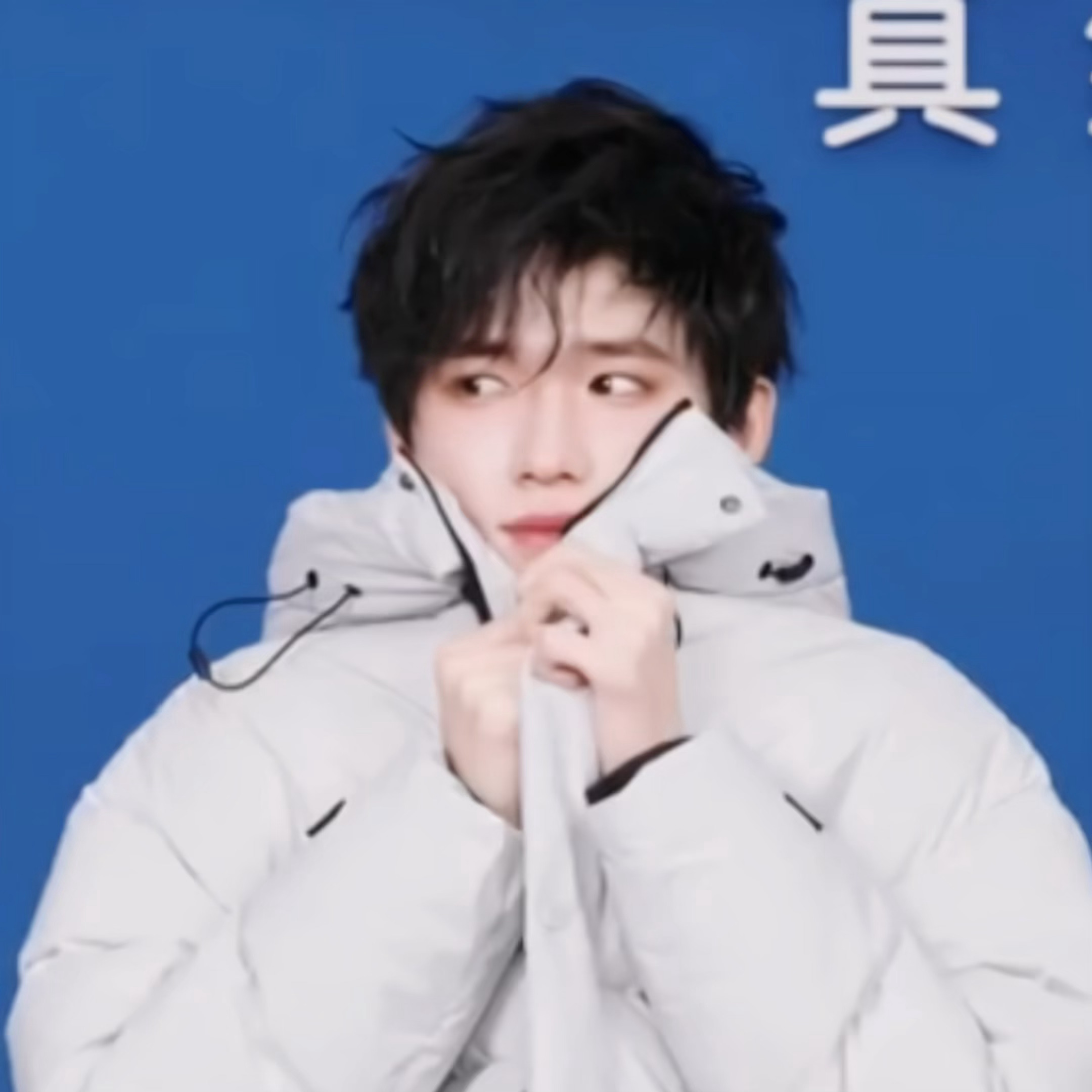 西伯利亚狗也要保暖 ​​​