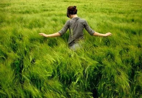 今天看到一句话:
我们隔着屏幕互相羡慕
其实谁也没有活得容易
何止是不容易
其实