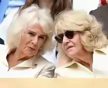子女的平庸，彻底让卡米拉绝望了！
卡米拉的子女汤姆与劳拉，曾被寄予厚望。汤姆作为