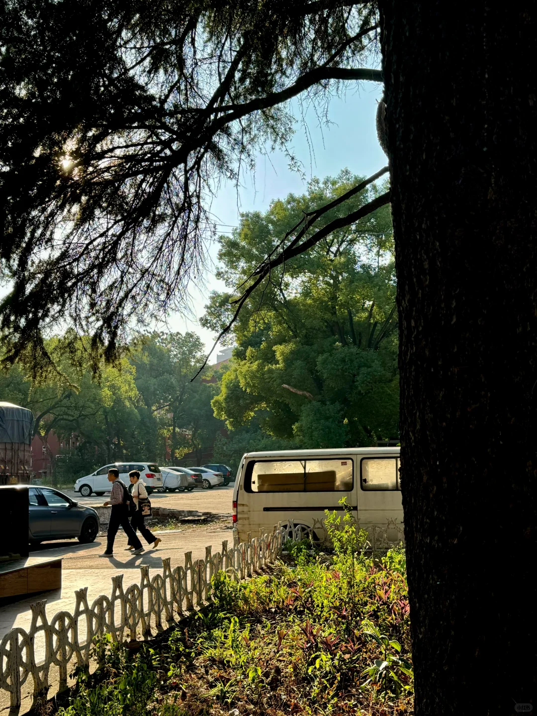 一些与光有关的瞬间