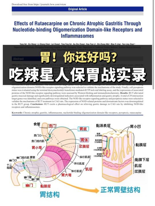 吃辣党注意！一篇扒透中式护胃指南